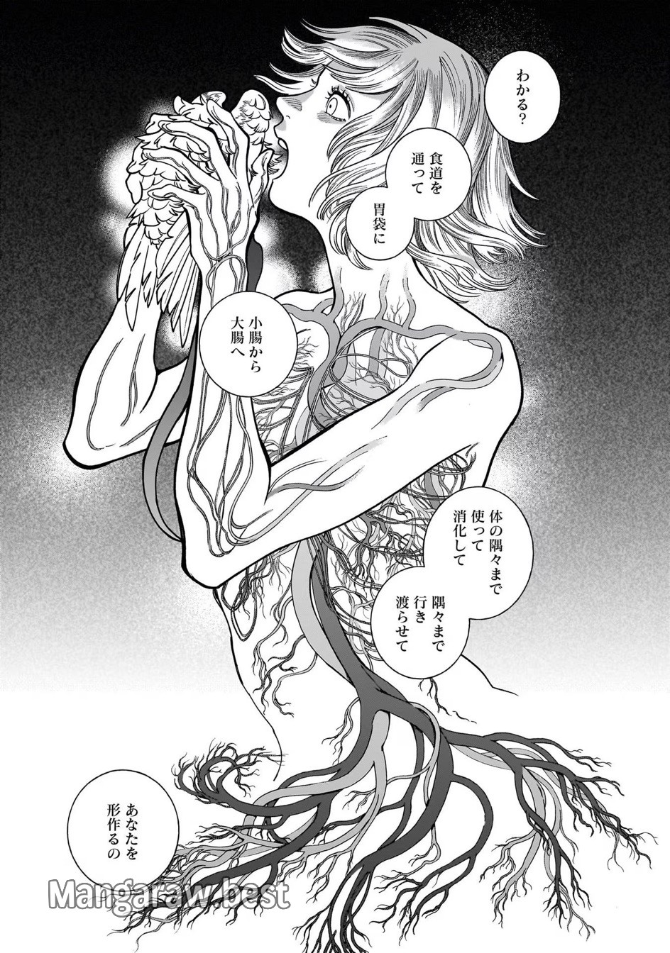 ダンジョン飯 第97.1巻 - Trang 21